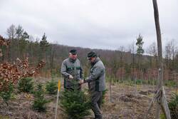 Zwei Männer begutachten einen kleinen Baum