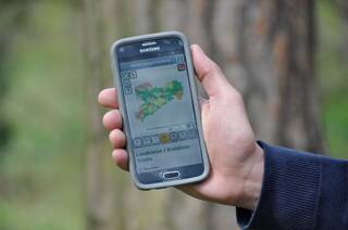 Handy mit Waldbrand-Karte von Sachsen