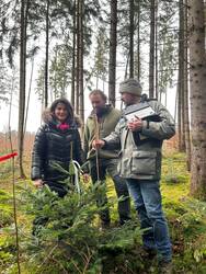 (v. l.) Forstministerin Michaela Kaniber, Waldbesitzer Benno Maier und Beratungsförster Karl Einwanger beim Start des Vegetationsgutachtens. Quelle: Köhler/StMELF