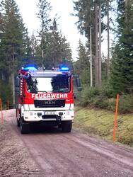 Feuerwehrfahrzeug im Wald